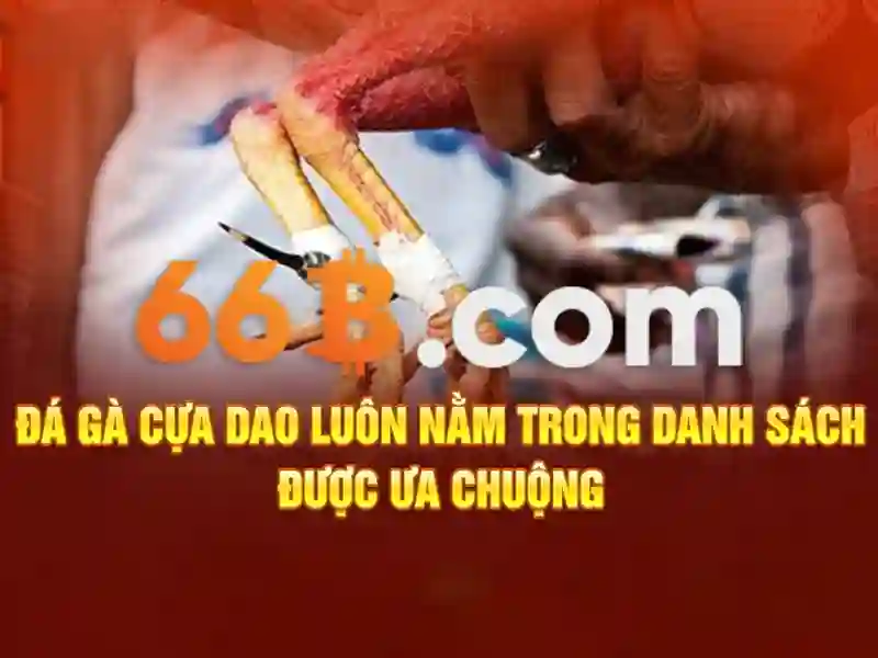 66b – Trang Chủ Chính Thức | Thiên Đường Cá Cược & Giải Trí Đỉnh Cao Châu Á