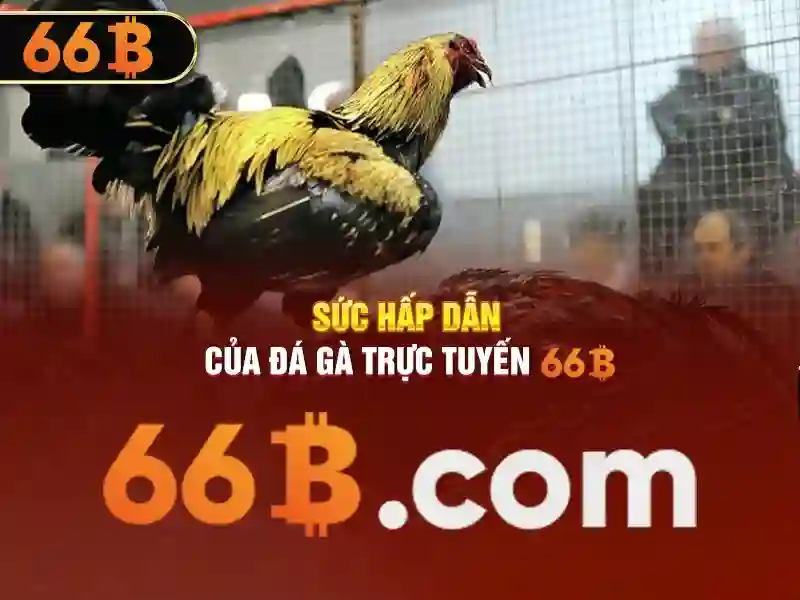 chơi có trách nhiệm 66B - 66B