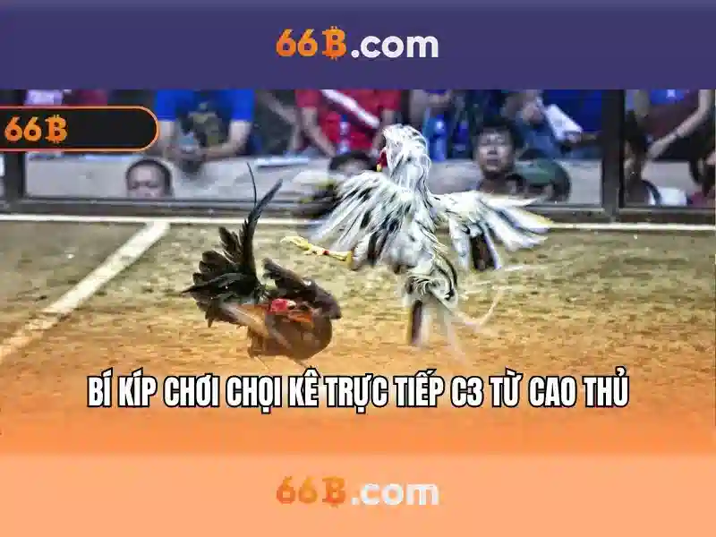 66B Uy Tín – Trải Nghiệm Slot Đỉnh Cao 2026 - 66B