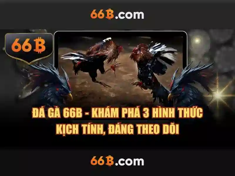 đánh giá slot - 66B