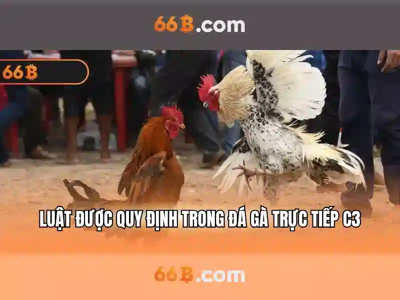  trang web 66B - 66B