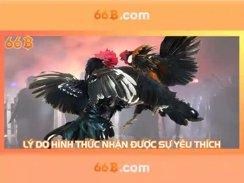  66B hoàn tiền Slot - 66B