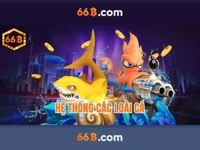 66B - 66B