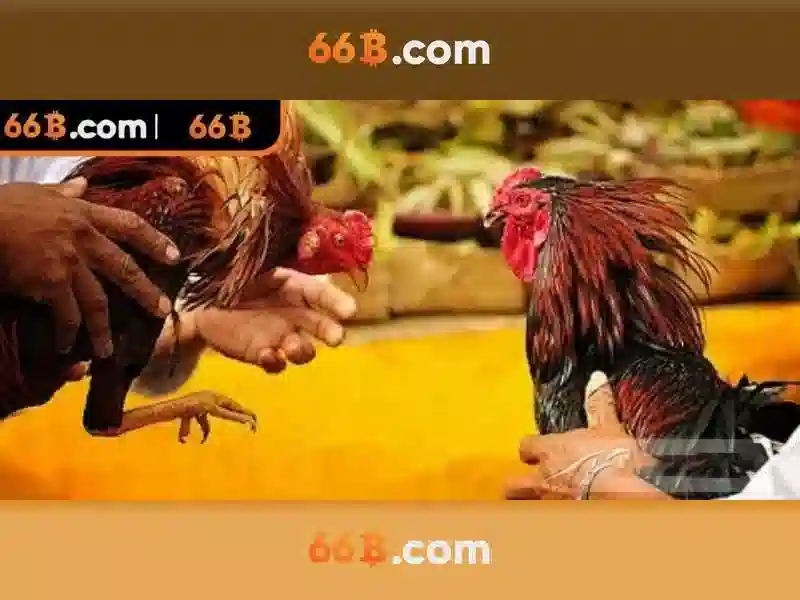  Slot đa dạng - 66B