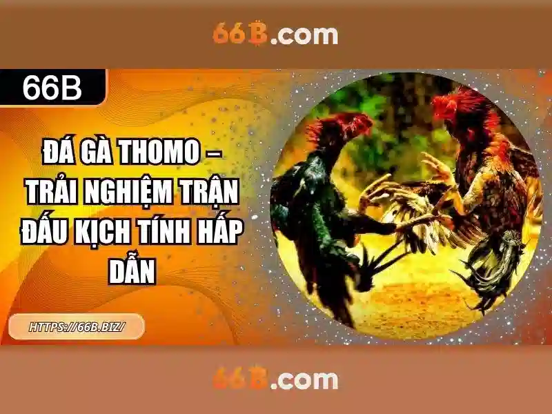 66B hoàn tiền Slot 2026 - 66B