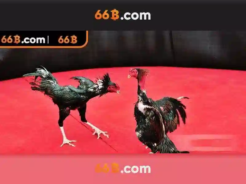 Tải 66B APK – Trải Nghiệm Cá Cược Không Gián Đoạn - 66B