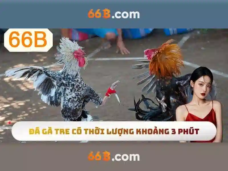  đăng nhập 66B - 66B