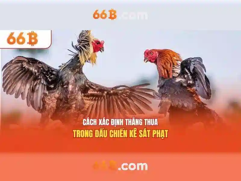 66B – Trang Chủ 66B Online Không Bị Chặn 2026 - 66B