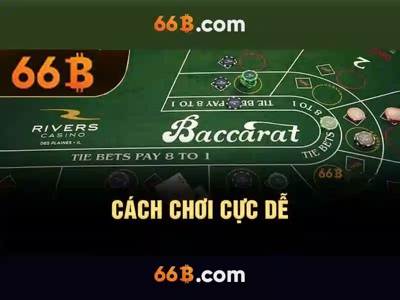 Chính Sách Bảo Mật 66B: Bảo Vệ Thông Tin Của Bạn - 66B