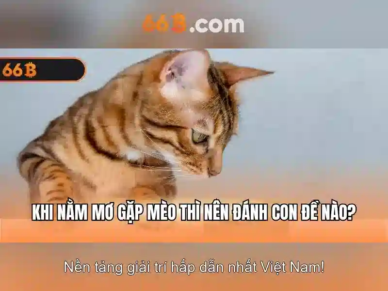 66B – 66b.apk | Casino Trực Tuyến, Thể Thao, Bắn Cá, Xổ Số | Nhà Cái Uy Tín - 66B