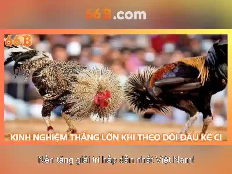 Trang Chủ 66B – Trải Nghiệm Slot Đỉnh Cao - 66B