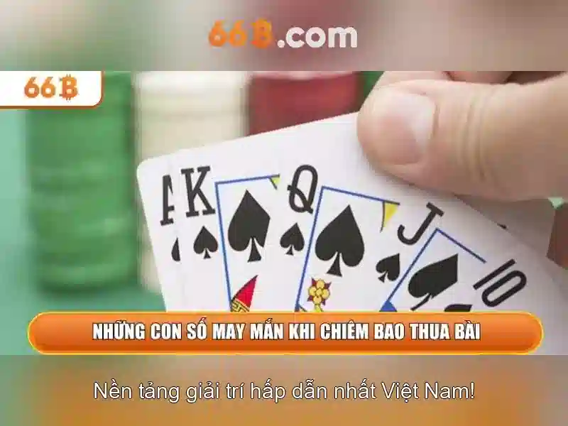 tra cứu code 66B - 66B