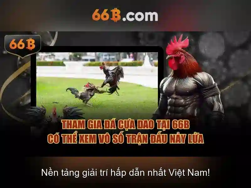  an toàn thông tin 66b - 66B