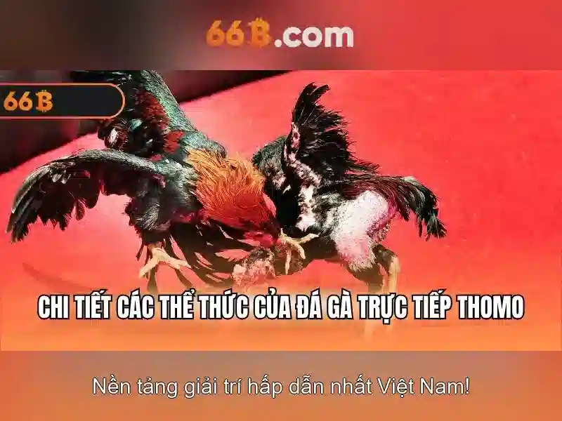 Review 66B: Cách Chơi Slot Hiệu Quả – Tăng Cơ Hội Thắng Lớn 2026 - 66B