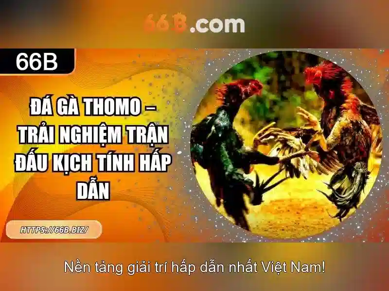 nạp rút nhanh - 66B