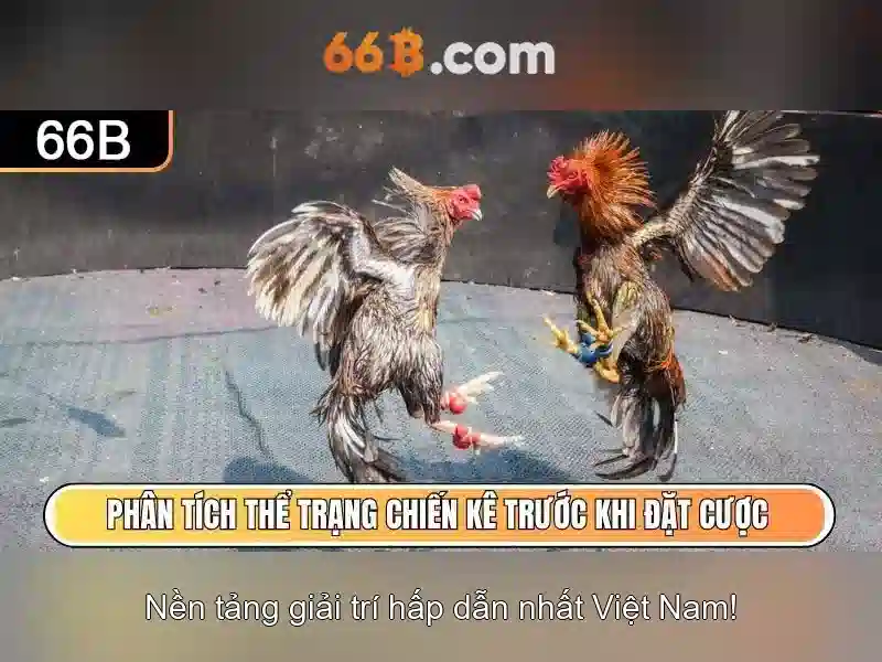 Nạp Tiền 66B – Hướng Dẫn Chi Tiết Và Nhanh Chóng Cho Người Chơi Slot - 66B