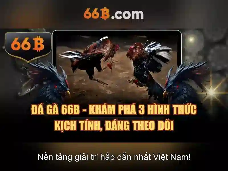 nhập code 66b - 66B