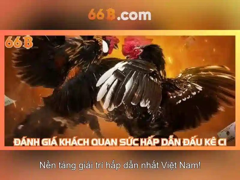  khuyến mãi - 66B