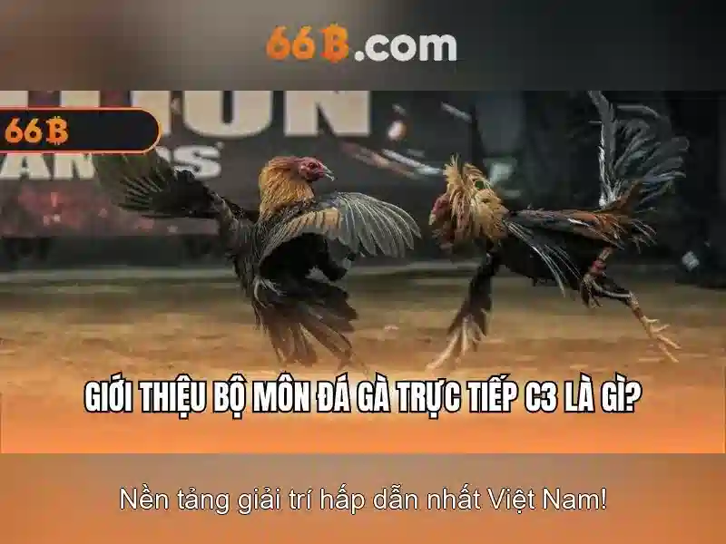 66B - Ưu Đãi 66b Tặng Tiền Cực Hấp Dẫn Cho Người Chơi Slot - 66B