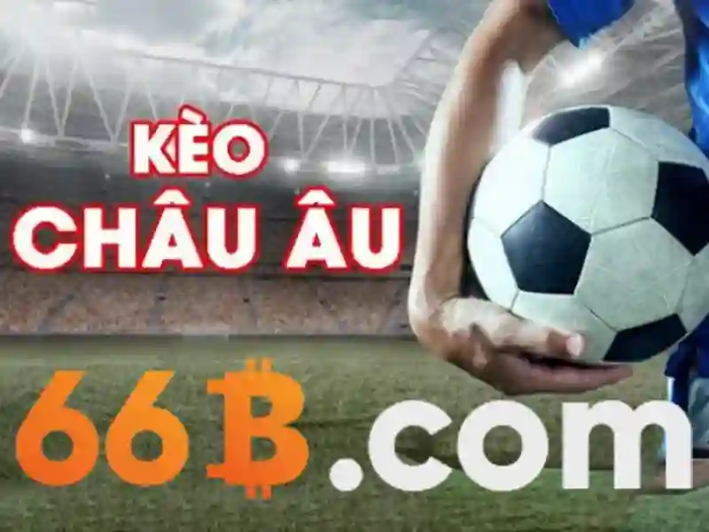Cá cược - 66B