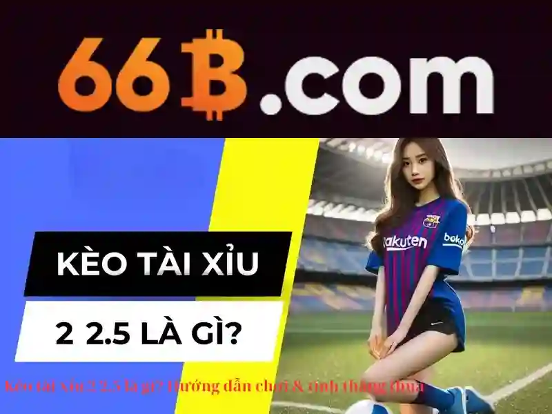  Tỷ lệ thưởng Slot - 66B